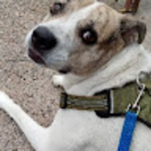 Meet your Posher, Nicolas